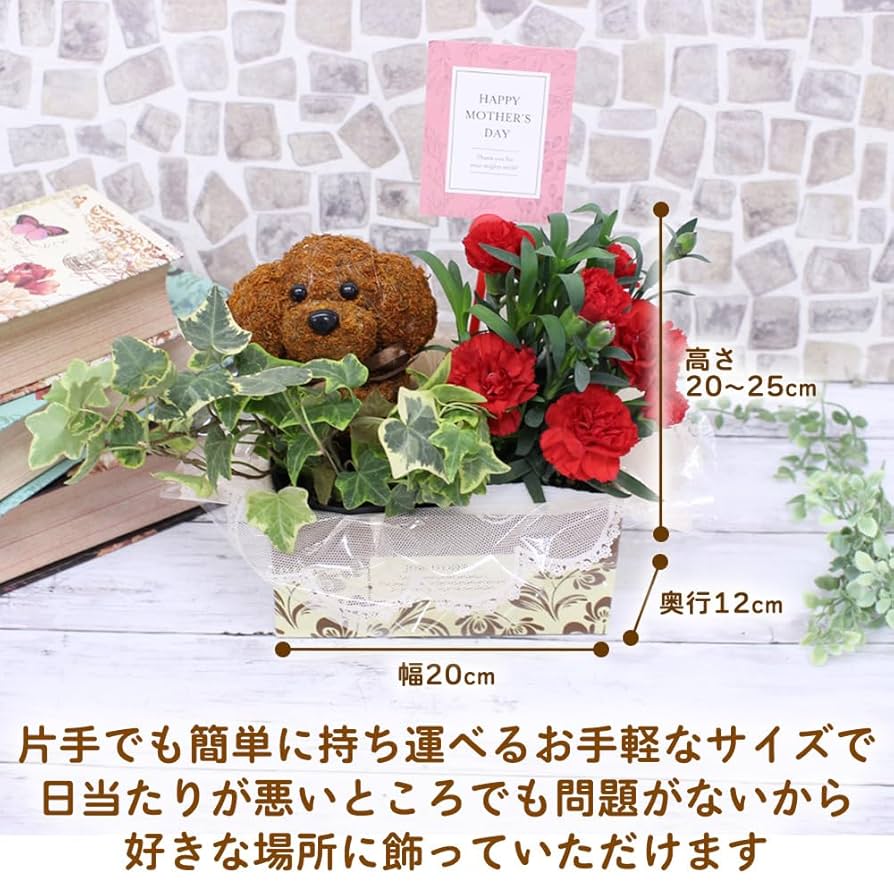 Amazon｜カーネーション アニマルトピアリー プレゼント 花 母の